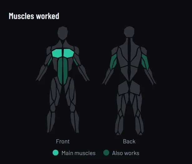 Muscles worked by the push-up: chest highlighted as the main muscle; shoulders, triceps and core also work