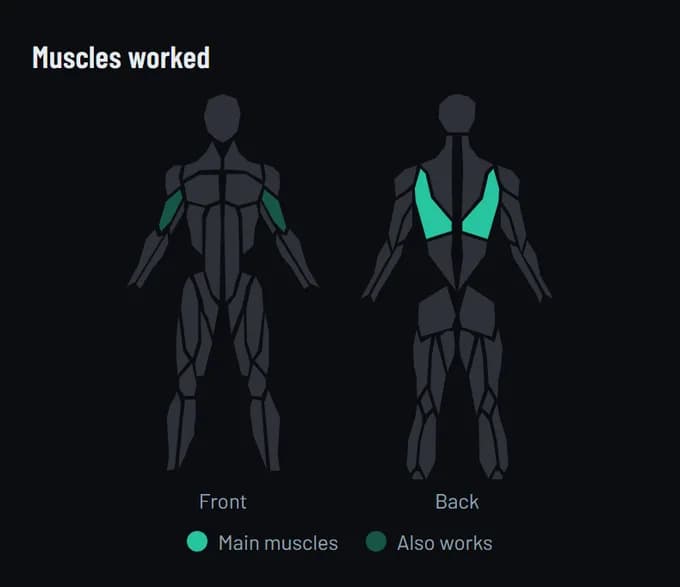 Muscles worked by the Assisted Pull-up